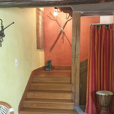 L'oasis Des Marais Irisia